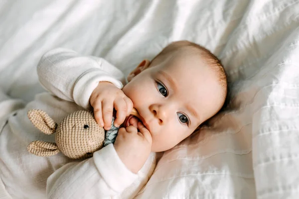 Closeup Baby Playing Crocheted Bunny Toy Biting First Teeth Concept — Stock Photo, Image