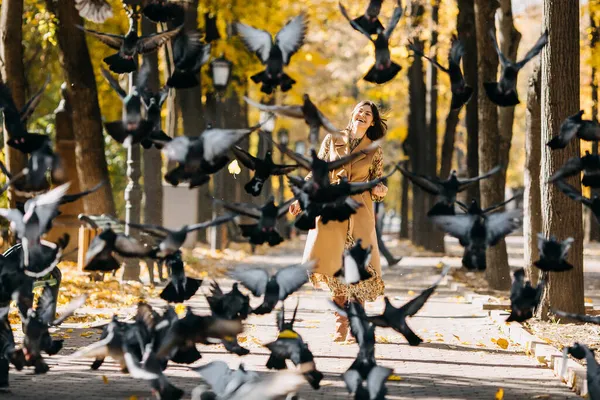가을에 중심가 공원에서 비둘기에게 먹이를 — 스톡 사진