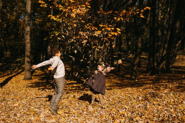 Дети Играют Желтыми Листьями Парке Бросают Мальчик Девочка Веселятся Природе — стоковое фото