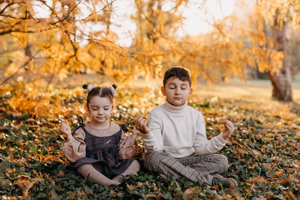 Pojke Och Flicka Sitter Marken Park Yoga Lotus Poserar Med — Stockfoto