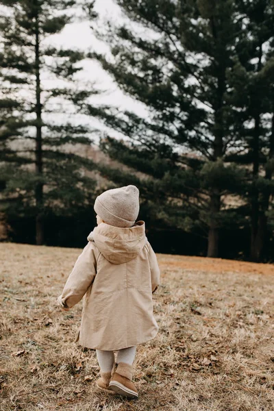 Liten Flicka Promenader Ensam Skog Höstdag — Stockfoto