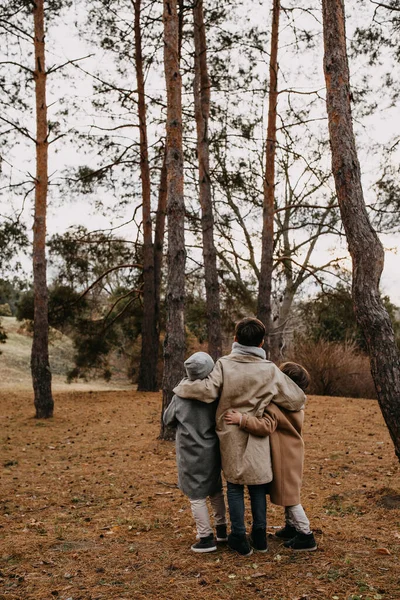 Three Boys Looking Tall Trees Forest — Stockfoto