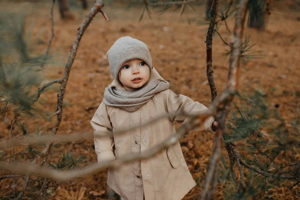 Девочка Гуляющая Парке Поздней Осенью Трикотажной Шляпе Шарфе — стоковое фото
