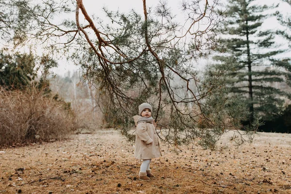 Little girl walking in a forest on late autumn day, holding a big fir tree branch.