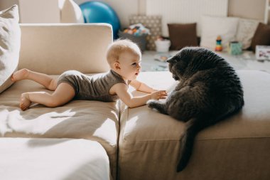 Küçük bebek büyük bir kediyle oynuyor, İngiliz kısa hava cini, kanepede oturuyor..