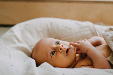 Bebek yuvasında yatan bir aylık bebek, merak uyandıran bir ifadeyle, yakın plan.