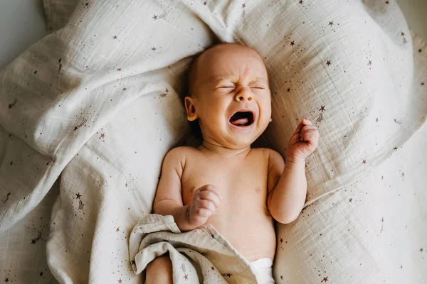 Νεογνό Μωρό Κλαίει Ξαπλωμένο Στη Φωλιά Του Μωρού Κορυφαία Άποψη — Φωτογραφία Αρχείου