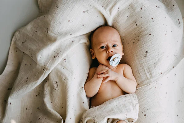 Bebê Recém Nascido Calmo Com Uma Chupeta Deitado Ninho Bebê — Fotografia de Stock