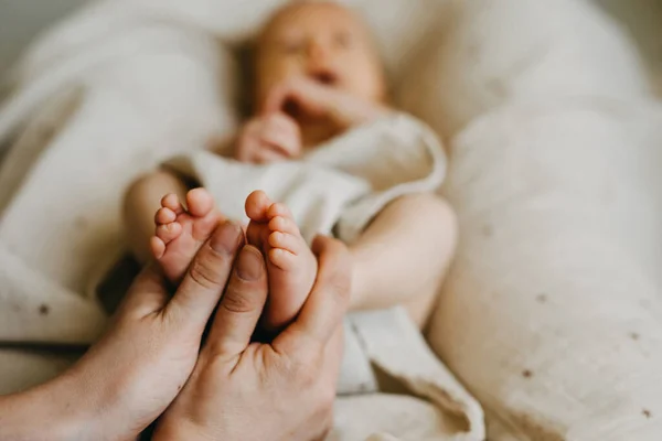 ใกล ดของม อแม อเท าเด กทารกเท าเปล าทารกทารกแรกเก ดเล — ภาพถ่ายสต็อก