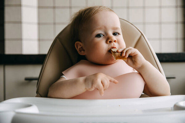 Months Old Baby Sitting High Chair Silicone Bib Eating Bread Stock Image