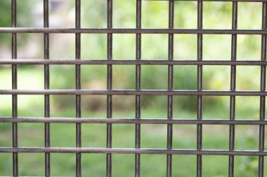 Yeşil ve dışarıdaki demir çitleri kapatın.