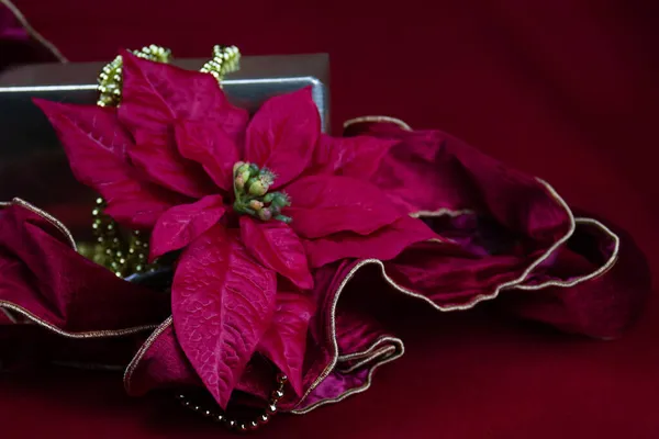 Φύλλα Red Poinsettia Φύλλα Χριστουγεννιάτικου Αστέρα Ασημένιο Κουτί Κόκκινο Φόντο — Φωτογραφία Αρχείου