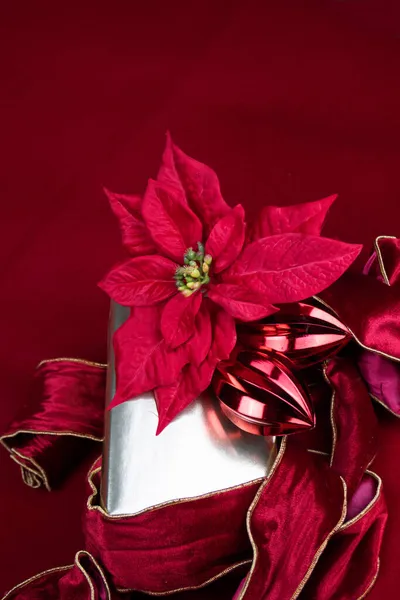 Red Poinsettia Folhas Folhas Estrela Natal Caixa Presente Prata Fundo — Fotografia de Stock
