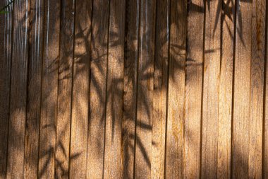 Tahta panelde Bambu yapraklarının gölgesi, Doğanın Güzelliği