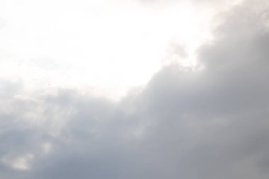 Deniz kenarında güneş batıyor, Huzurlu ve Huzurlu, Doğa 'nın Saflığı ve Güzelliği, martılar eve uçuyor.