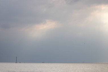 Deniz kenarında güneş batıyor, Huzurlu ve Huzurlu, Doğa 'nın Saflığı ve Güzelliği, martılar eve uçuyor.