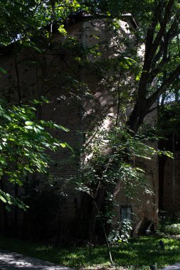 Bahçedeki kırmızı tuğlalı duvarda büyük ağaçların gölgesi