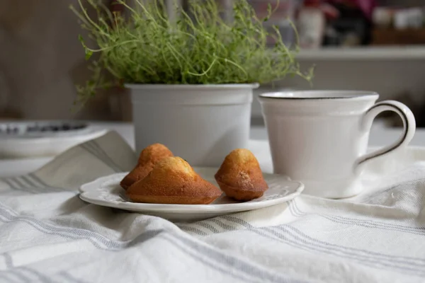 Pastelería Tradicional Francesa Sobre Fondo Blanco Madeleine —  Fotos de Stock