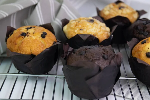 Muffin Inglesi Uno Scaffale Torte Raffreddamento — Foto Stock