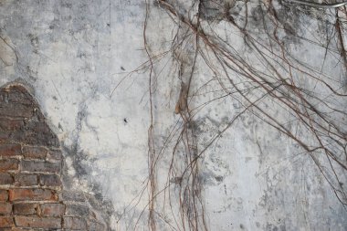 Eski konformasyon duvarının kırsal yüzeyini kapat