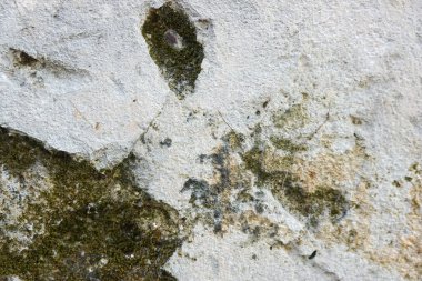 Eski konformasyon duvarının kırsal yüzeyini kapat