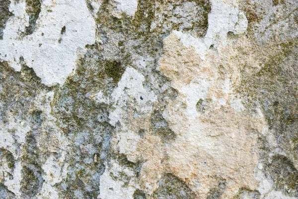 Fermer Surface Rustique Vieux Mur Concreate — Photo