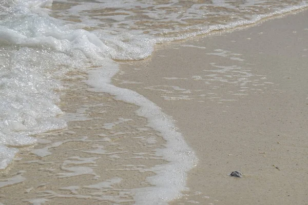 Summer Holidays Sea Peaceful Tranquil Abstract Clear Sea Wave Fine — Fotografia de Stock