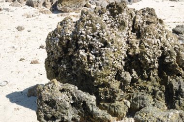 Kayaların, çakıl taşlarının ve kumların dokusu, deseni ve rengi arasındaki şaşırtıcı kombinasyon