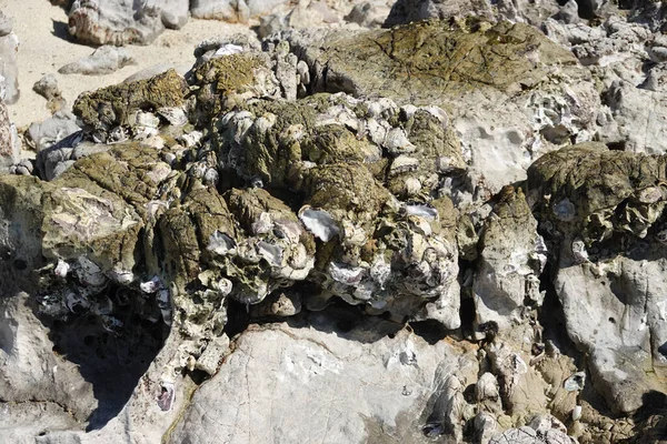Amazing Combination Texture Pattern Color Rocks Pebbles Sand — Foto de Stock