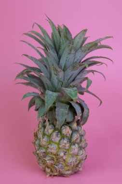 Fun with Fresh Organic fruit for summer Holiday