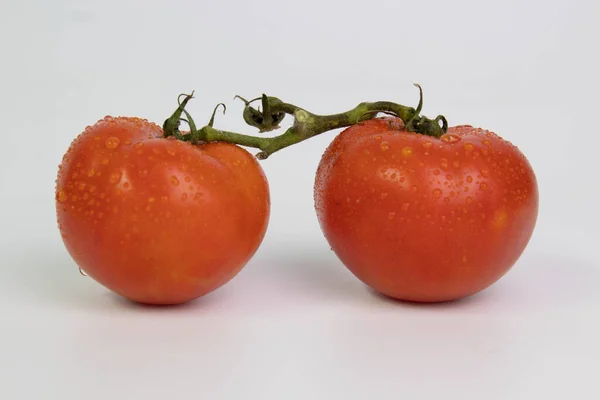 Organic Tomato Healthy Living Modern Lifestyle — Stock Photo, Image