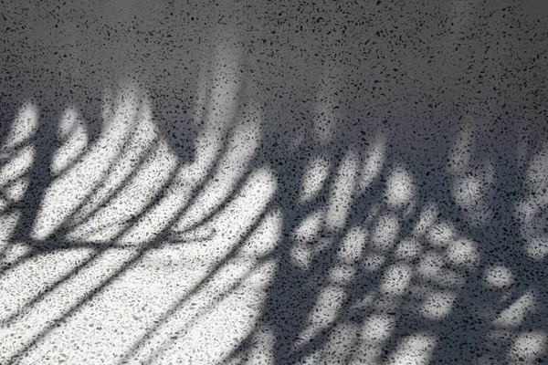 Schöne Abstrakte Licht Und Schattenmuster Auf Dem Modernen Material — Stockfoto