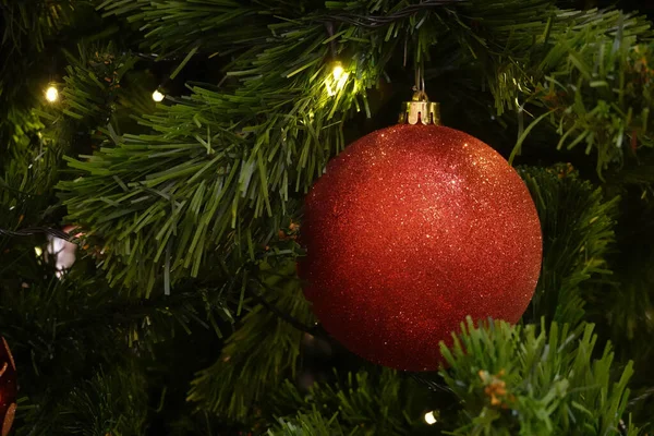 Bola Suspensão Vermelha Para Árvore Natal — Fotografia de Stock