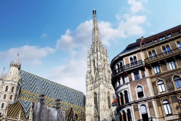 Stephen Cathedral Vienna Timelapse — стоковое видео