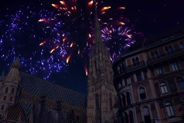 Fuochi Artificio Vienna Austria — Video Stock