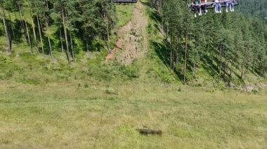 Zlatibor Sırbistan - Sırbistan 'da Zlatibor mnt' in doğa güzelliğinin ayrıntıları