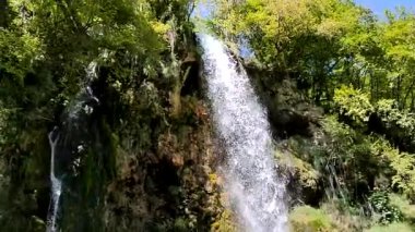 Zlatibor Sırbistan - Sırbistan 'da Zlatibor mnt' in doğa güzelliğinin ayrıntıları