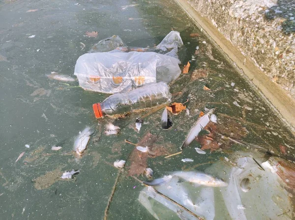 Environmental Pollution. Plastic Bottles, Bags, Trash In River Or Lake
