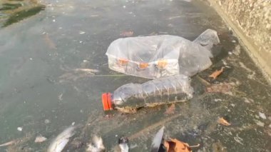 Large Environmental Pollution. Plastic Bottles, Bags, Trash In River Or Lake