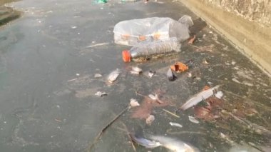 Large Environmental Pollution. Plastic Bottles, Bags, Trash In River Or Lake