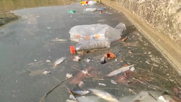 Large Environmental Pollution Plastic Bottles Bags Trash River Lake — Video Stock