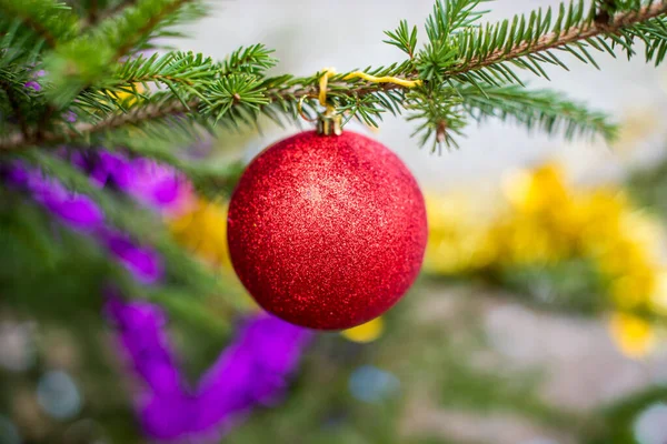 Rote glitzernde Weihnachtskugel hängt an einem immergrünen Baum — Stockfoto
