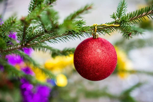 Rode glitter Kerstbal hangend aan een groenblijvende boom — Stockfoto