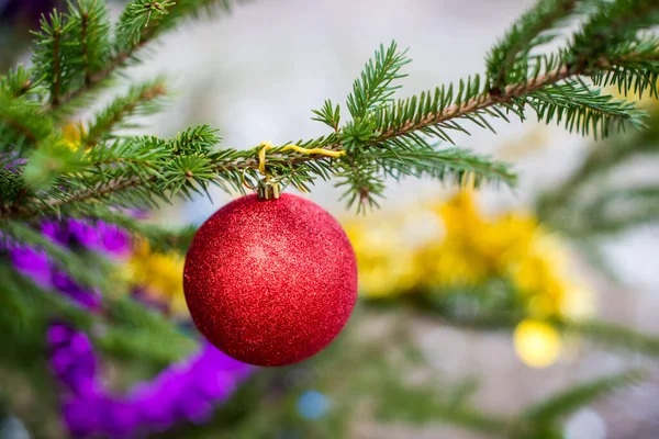 Rode glitter Kerstbal hangend aan een groenblijvende boom — Stockfoto