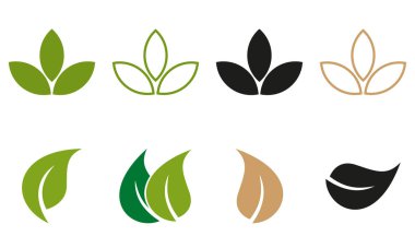 Beyaz arkaplanda izole edilmiş simge vektörü bırakır. Çeşitli yeşil yapraklar.