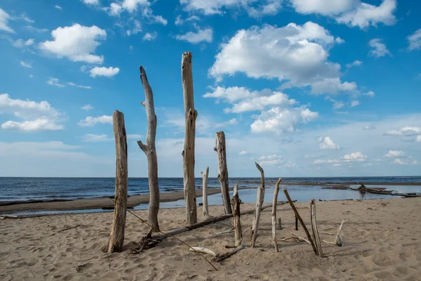 Carnikava, Letonia, Escena costera en el mar Báltico con árboles caídos en un día soleado — Foto de Stock