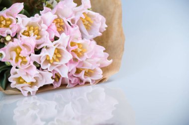 Taze bahar pembe laleleri beyaz arka plandaki eski eski eski kağıt üzerinde, boşluğu kopyala