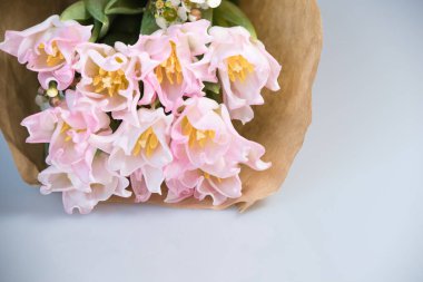 Taze bahar pembe laleleri beyaz arka plandaki eski eski eski kağıt üzerinde, boşluğu kopyala