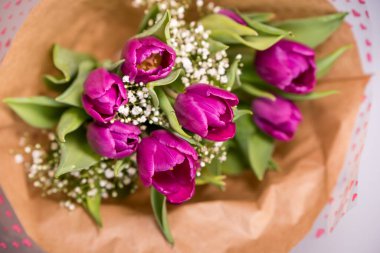 Taze bahar mor laleleri beyaz arka planda eski, eski, kaliteli kağıtlarda.