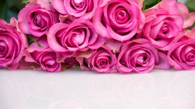 Beyaz arka planda pembe gül buketi. Çiçek arkaplanı. Anneler Günü, Düğün ve Doğum Günü konsepti.